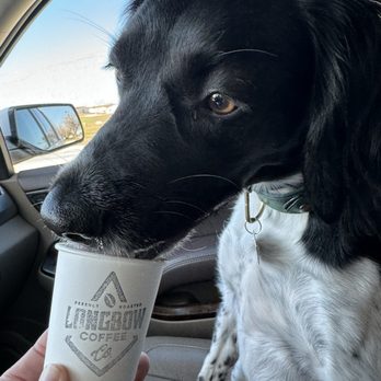 Longbow Roasters Coffee - Pupachino - A black and white dog is drinking from a paper coffee cup labeled 'Longbow Coffee' inside a car, with a side mirror and window visible. - Coffee Roasteries Near Me - Salado, Texas