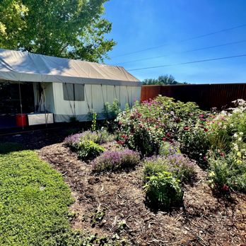 Zenzen Gardens - The gardens/flowers around our tent were phenomenally gorgeous!! - Attraction Farms Near Me - Paonia, Colorado Zenzen Gardens - The gardens/flowers around our tent were phenomenally gorgeous!! - Attraction Farms Near Me - Paonia, Colorado