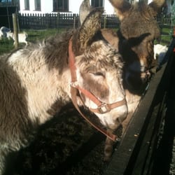 Glendeer Pet Farm