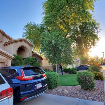 Julio Tree care & landscaping services - two cars parked in front of a house - Tree Services Near Me - Mesa, Arizona Julio Tree care & landscaping services - two cars parked in front of a house - Tree Services Near Me - Mesa, Arizona