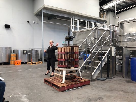 Moorilla Winery by null