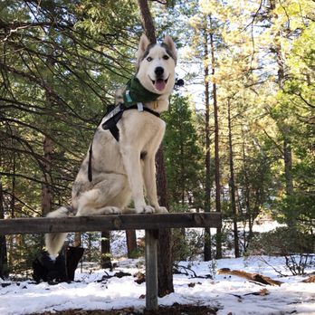 Idyllwild Park - Boss - Hiking Near Me - Idyllwild-Pine Cove, California Idyllwild Park - Boss - Hiking Near Me - Idyllwild-Pine Cove, California