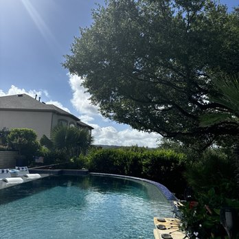 Tree Tx Services  - Tree Services Near Me