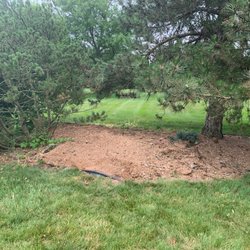 Manning Tree Experts - Clean spot