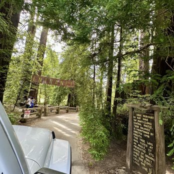 Shrine Drive Thru Tree - Entrance to the Drive Thru Tree! - Landmarks & Historical Buildings Near Me - Meyers Flat, California Shrine Drive Thru Tree - Entrance to the Drive Thru Tree! - Landmarks & Historical Buildings Near Me - Meyers Flat, California