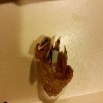 Wingstop - My "wing." They refused to give me another one stating, "that's just how are wings come." - Chicken Wings Near Me - Sparks, Nevada