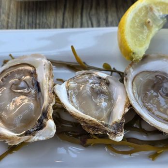 Pittsburgh Blue Steakhouses - Raw oysters - Steakhouses Near Me - Edina, Minnesota Pittsburgh Blue Steakhouses - Raw oysters - Steakhouses Near Me - Edina, Minnesota