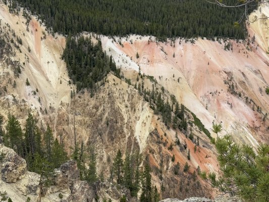 Tower Fall Campground by null