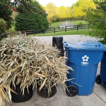 Republic Services - Bamboo cut & tied. I carried it from the back tree line. Yet they are unable to move 10 feet - Recycling Center Near Me - Fairfax, Virginia Republic Services - Bamboo cut & tied. I carried it from the back tree line. Yet they are unable to move 10 feet - Recycling Center Near Me - Fairfax, Virginia