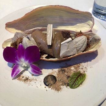 Xochi - Yummy inside of Cacao - Mexican Near Me - Houston, Texas Xochi - Yummy inside of Cacao - Mexican Near Me - Houston, Texas
