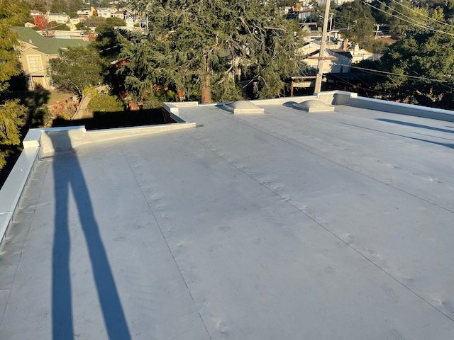 Slide of Rockin' Roofers