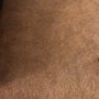 Photo of Star Brite Carpet And Tile Cleaning