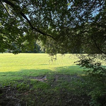 Fox Fire Riverside Camping - walk across field to get to river and picnic areas, gas grill with coverage here too - Campgrounds Near Me - Hartford, Tennessee