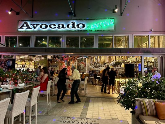 Avocado Cantina by null
