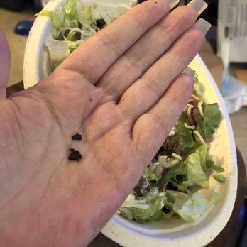Chipotle Mexican Grill - Fast Food Near Me - Round Rock, Texas