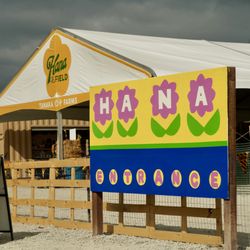 Hana Field by Tanaka Farms - Our renovated Hana field with new artist murals and tent with gift store