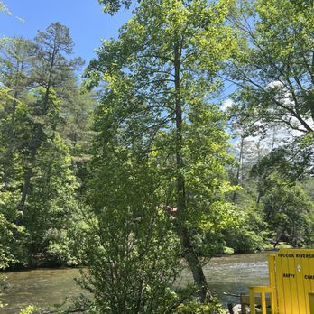 Toccoa Riverside Restaurant - View - Seafood Near Me - Blue Ridge, Georgia Toccoa Riverside Restaurant - View - Seafood Near Me - Blue Ridge, Georgia