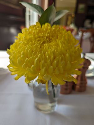 Colonel Blackinton Inn by null