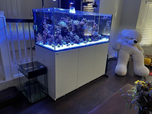 LAX Aquarium by null