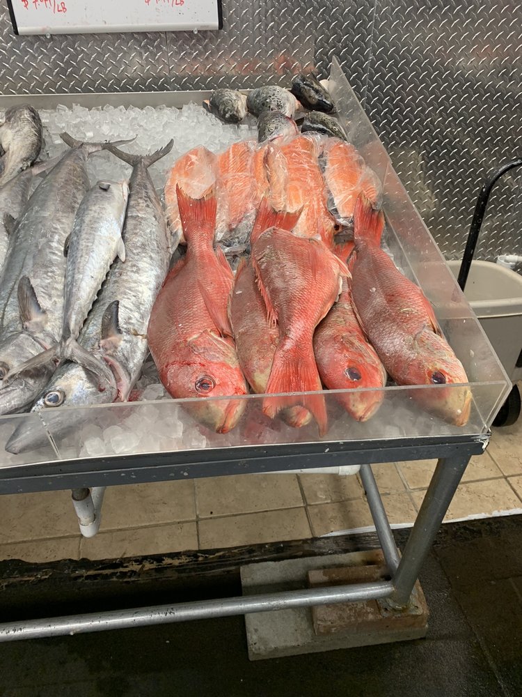 Darigo’s Fish Market 14 Photos & 19 Reviews Seafood Markets 1015