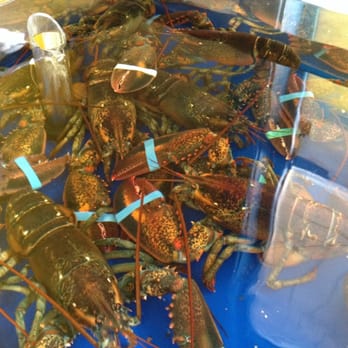 Merivale Fish Market - Seafood Markets Near Me - Nepean, Ontario