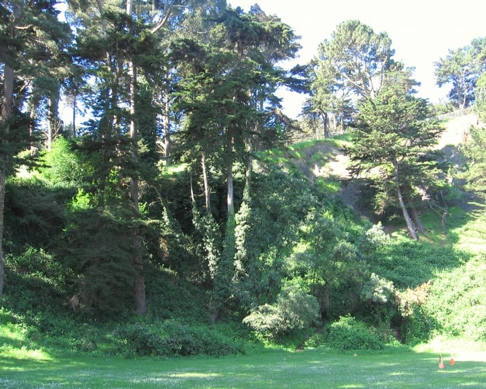 Slide of Hvac Now Group