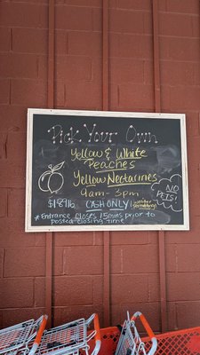 Battleview Orchards by null