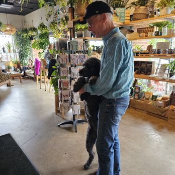 Cafe Conmigo - Pups allowed which made the Yelp Experience even better! - Coffee & Tea Near Me - Wexford, Pennsylvania