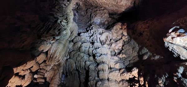 Oregon Caves National Monument & Preserve by null