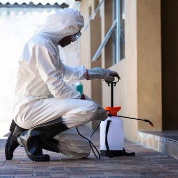 Anti-Termite & Pest Control - Pest Control Near Me - Prince George, Virginia Anti-Termite & Pest Control - Pest Control Near Me - Prince George, Virginia