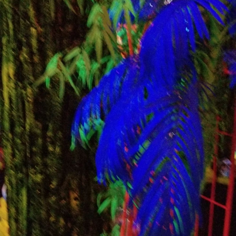 Glowing Greens - Mini Golf Near Me - Portland, Oregon Glowing Greens - Mini Golf Near Me - Portland, Oregon