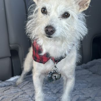 Hollywood Feed - Pet Stores Near Me - Fort Myers, Florida