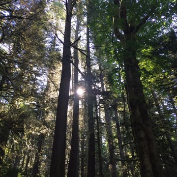 Twin Falls Trailhead - VIEWS - Hiking Near Me - North Bend, Washington