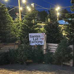 Santa's Tree Lot - Welcome to Santa's Tree Lot