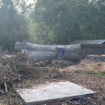 J &N Tree Service - Logging - Tree Services Near Me - Cleveland , Texas