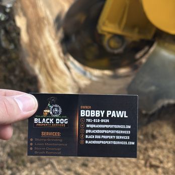 Black Dog Property Services - Tree Services Near Me - Chelmsford, Massachusetts Black Dog Property Services - Tree Services Near Me - Chelmsford, Massachusetts