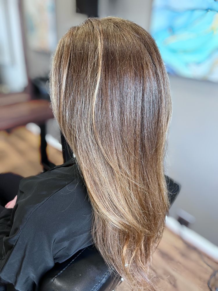 The Color Zone Salon Logo