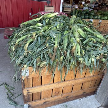 The Witten Farm Market - Fruits & Veggies Near Me - Columbus, Ohio