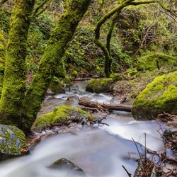 Indian Valley Open Space Preserve