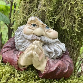 Gnomes Trail - Hiking Near Me - Maple Valley, Washington