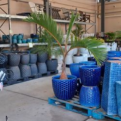 Ace Hardware - I love coming here!