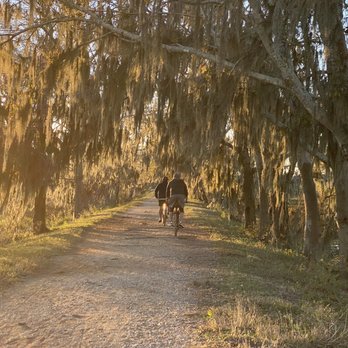 Brazos Bend State Park - Parks Near Me - Needville, Texas Brazos Bend State Park - Parks Near Me - Needville, Texas