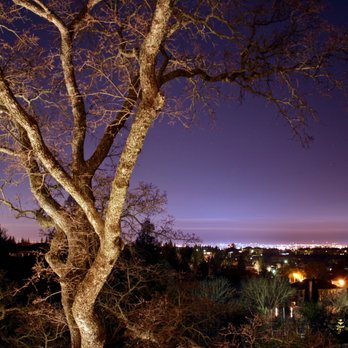 The Lighting Geek - View from our backyard deck after installation. - Lighting Fixtures & Equipment Near Me - Sacramento, California The Lighting Geek - View from our backyard deck after installation. - Lighting Fixtures & Equipment Near Me - Sacramento, California