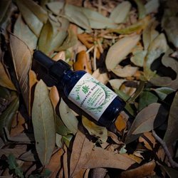 Alternative Solutions CBD Shop - Tinctures