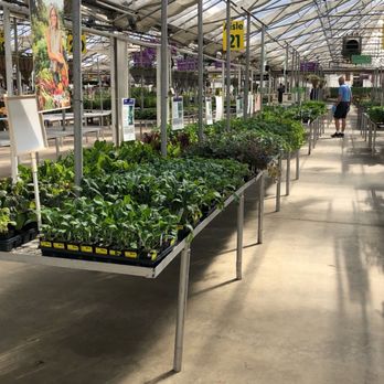 Tagawa Gardens - Nurseries & Gardening Near Me - Centennial, Colorado