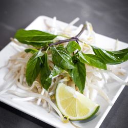 Phomono Vietnamese Cuisine - Bean Sprouts and Basil for the Pho