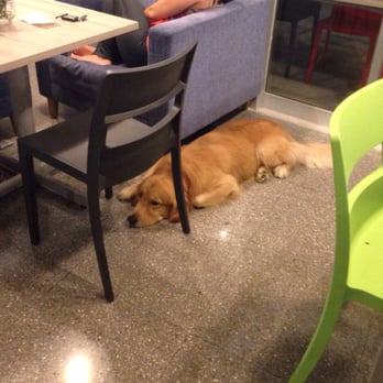 La Mora Rosa - pet friendly - Coffee & Tea Near Me - Monterrey, NLE