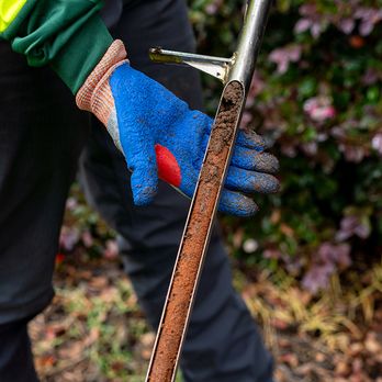 Bartlett Tree Experts - Tree Services Near Me - Marshall, Virginia