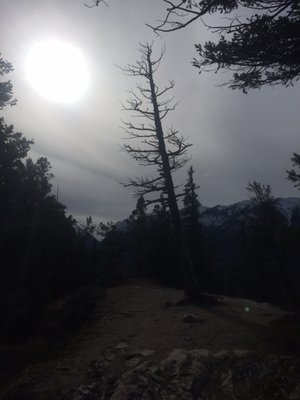 Tunnel Mountain Trail by null
