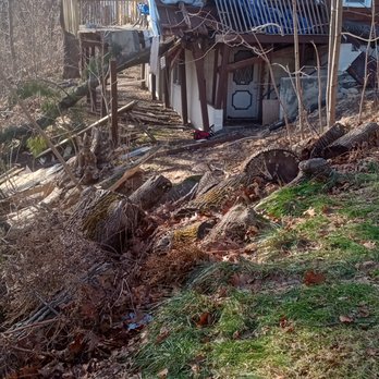 Sicher's TreeWorkz - Tree cutting on the porch.taking down the deck and porch roof and part of the house shingle. - Tree Services Near Me - Saylorsburg, Pennsylvania